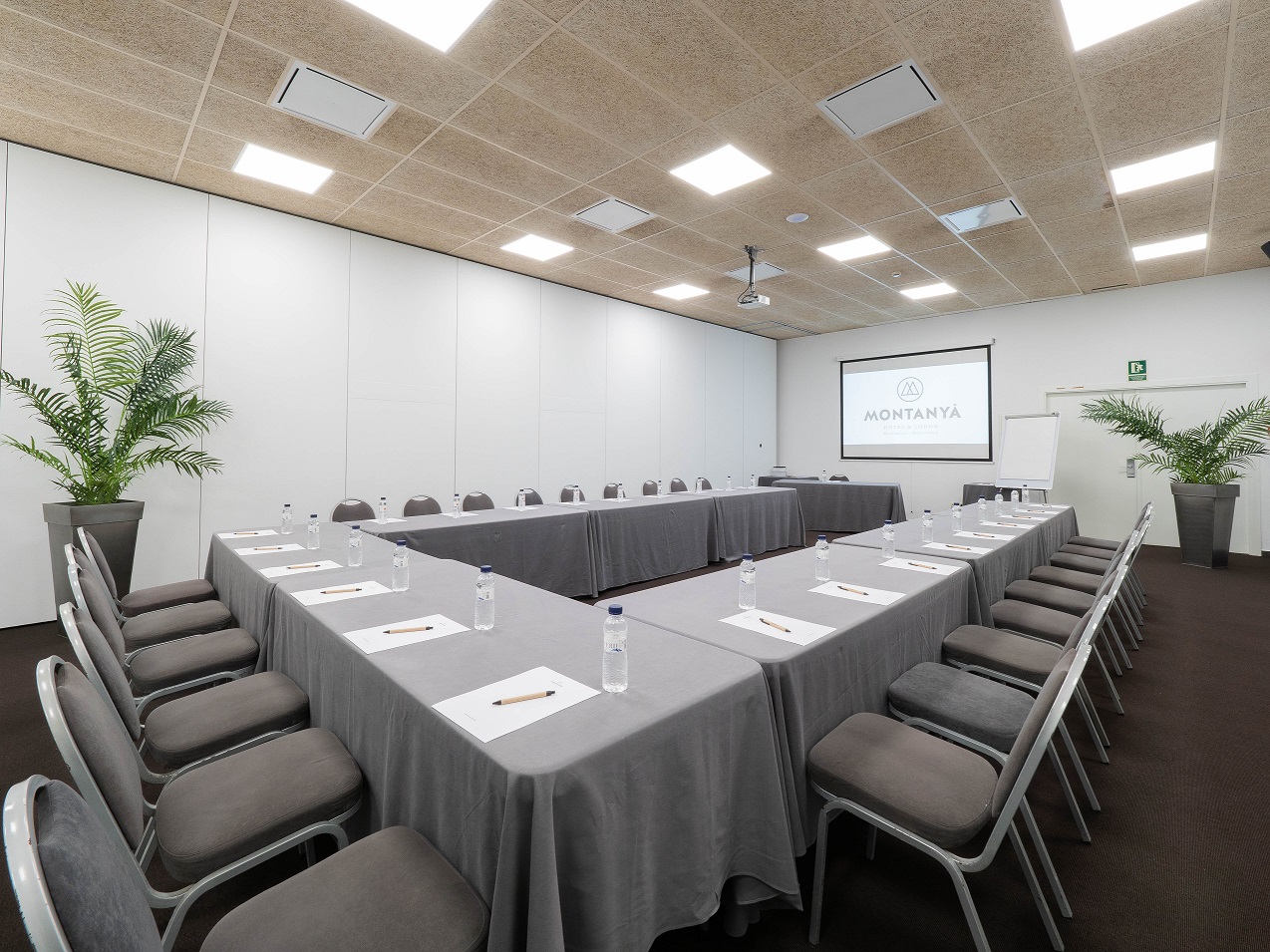 002_alta_montanyahotel Sala Pi.jpg